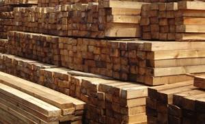 Jual Kayu Sengon Murah Kualitas Super